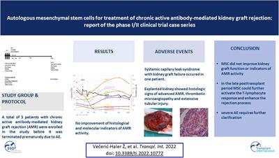 Autologous Mesenchymal Stem Cells for Treatment of Chronic Active Antibody-Mediated Kidney Graft Rejection: Report of the Phase I/II Clinical Trial Case Series